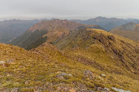 Lockett Range The Main Ridge Between Iron Hill And Mt Benson, Kahurangi National Park, New Zealand
