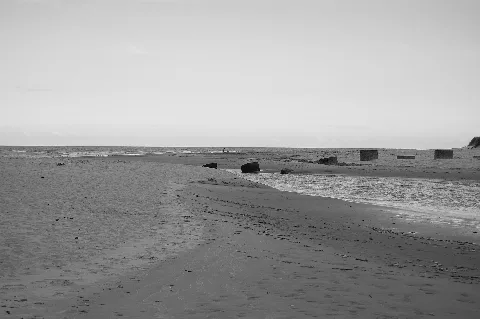 Lunan Bay Kyle Munro
