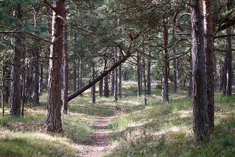 Mäklarhusens Naturreservat 1