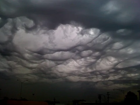 Mammatus Fw