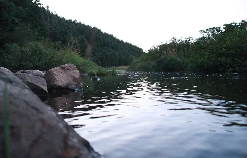 Manuels River Linear Park Municipal Heritage Site Pool