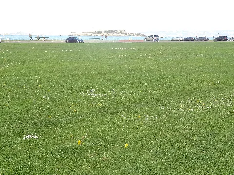 Marina Green
