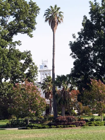 Meek Mansion And Grounds, 240 Hampton Rd., Hayward, Ca 8 17 2008 5 36 45 Pm