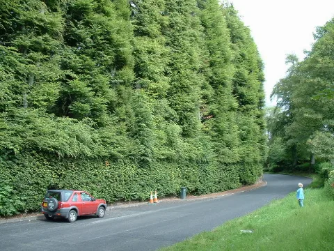 Meikleour