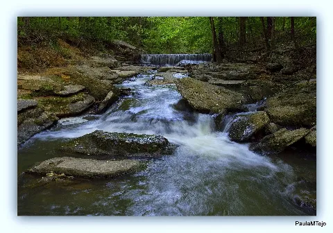 Montgomery Bell, Woodhaven Lake..... Panoramio (2)