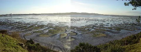 Montrose Basin