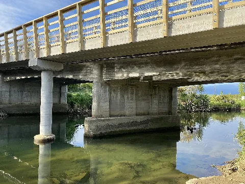 Motupipi River 23