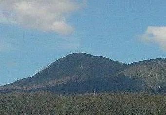 Mount Arthur