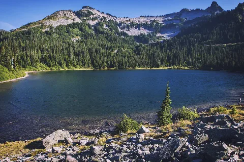 Mrnp — Louise Lake