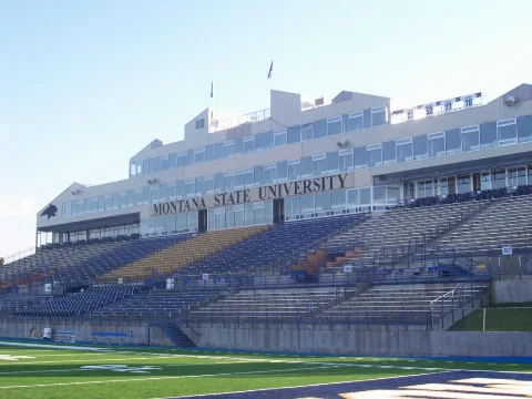 Msubobcatstadium New Turf