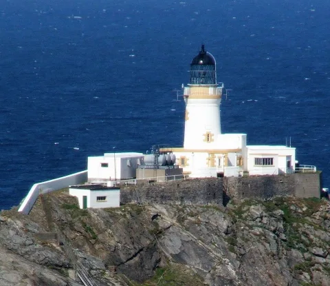 Muckle Fulga Sunny (Cropped)