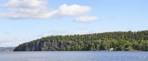 Mulåsen Medium Fylkesmannen I Vestfold
