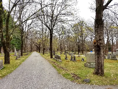 Munroe Cemetery Lexington, Ma 20200425 113448