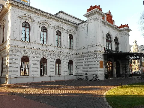 Musée Municipal De Bucarest (1)
