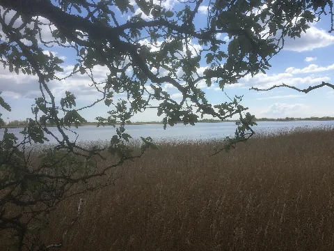 Nakskov Indrefjord