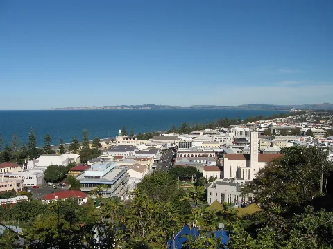 Napier And Bay