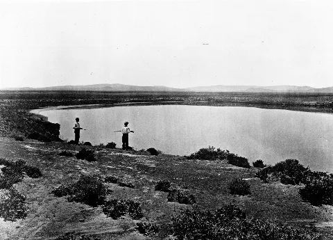 O'sullivan Sodalakes King Survey