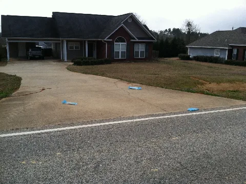 Opelika Auburn News Litter 2
