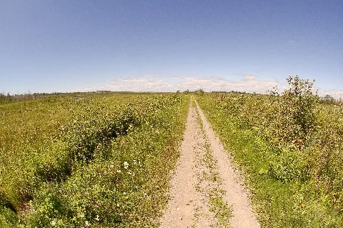 Out On The Rail Trail Panoramio