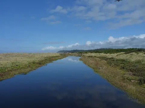 Pacific Beach State Park