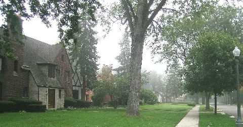 Palmer Woods Streetscape, Detroit Mi