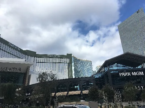 Park Mgm Exterior