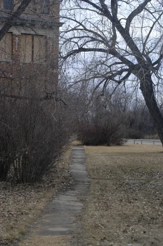 Pathways (126039087)