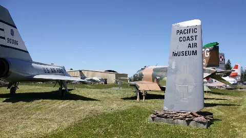 Pcam1