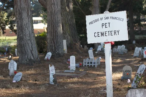 Pet Cemetery San Francisco 3