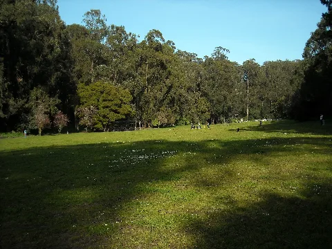 Pine Lake Park @ Stern Grove (4427380705)