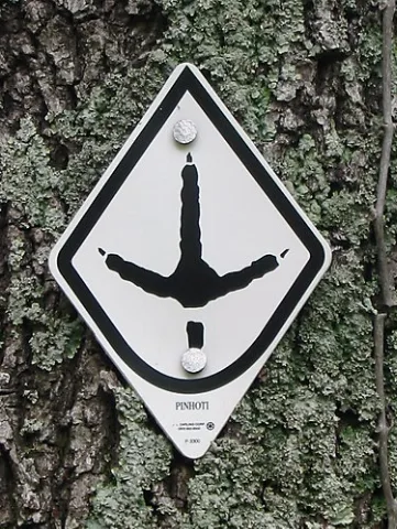 Pinhoti Trail Marker