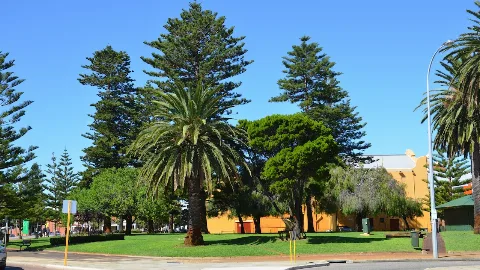 Pioneer Park And Spare Parts Theatre