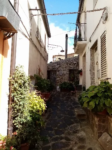 Plataci06