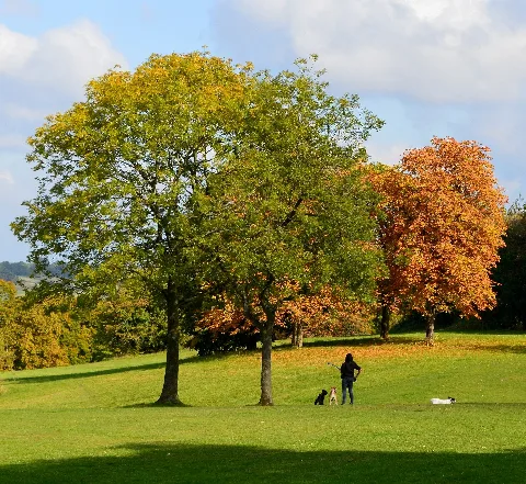 Playing In Arthur Newbery Park, Tilehurst, Berkshire (Geograph 4715950)
