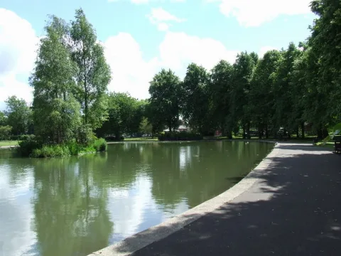 Pond In Robertson Park Geograph.org.uk 859968