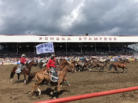 Ponoka Stampede 2018 (43061687152)