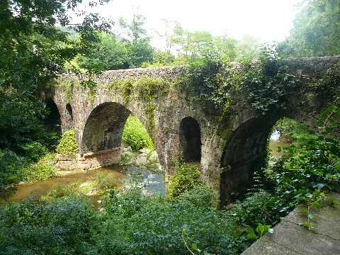 Pont De Sant Roc P1460398