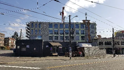 Pony, Seattle, 2018 3