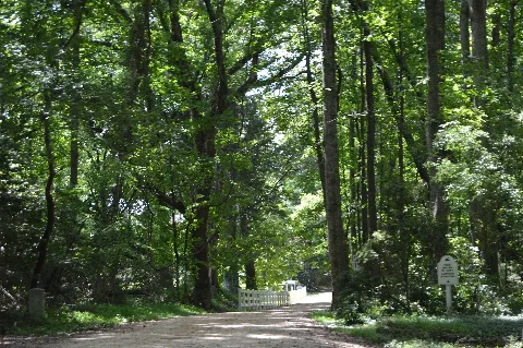 Pop Castle Estate Entrance
