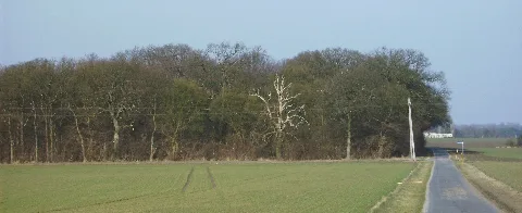 Præstens Urskov 02