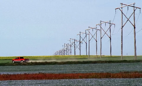 Prairie Rainbow Canola Flax