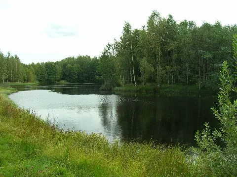 Prestegårdsdammen