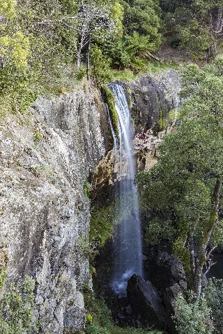 Preston Falls, Tasmania (35773817695)