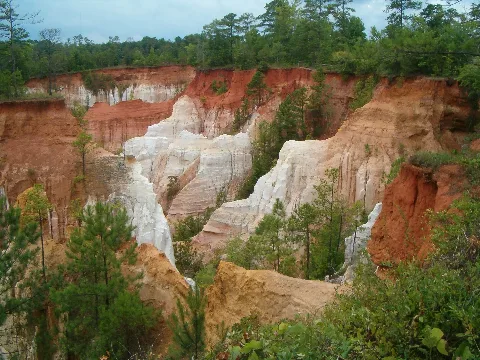 Providence Canyon From Rim