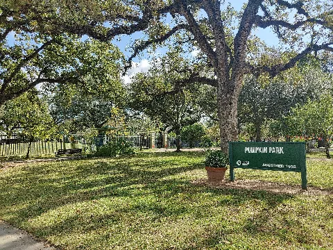 Pumpkin Park (80576)