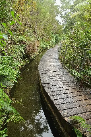 Pupu Water Race And Curved Narrow Walkway