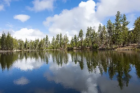 Reflection Lake, Lassen Volcanic National Park, In June 2022 6049