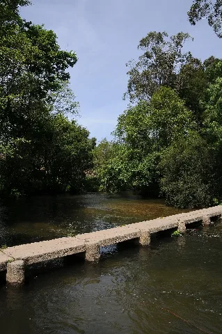 Rio Neiva