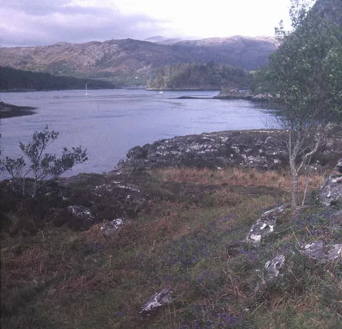 Riska Island Geograph.org.uk 661988