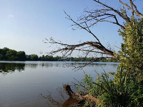 Roaches Run Waterfowl Sanctuary Long Bridge Aquatics Center And Washington Monument